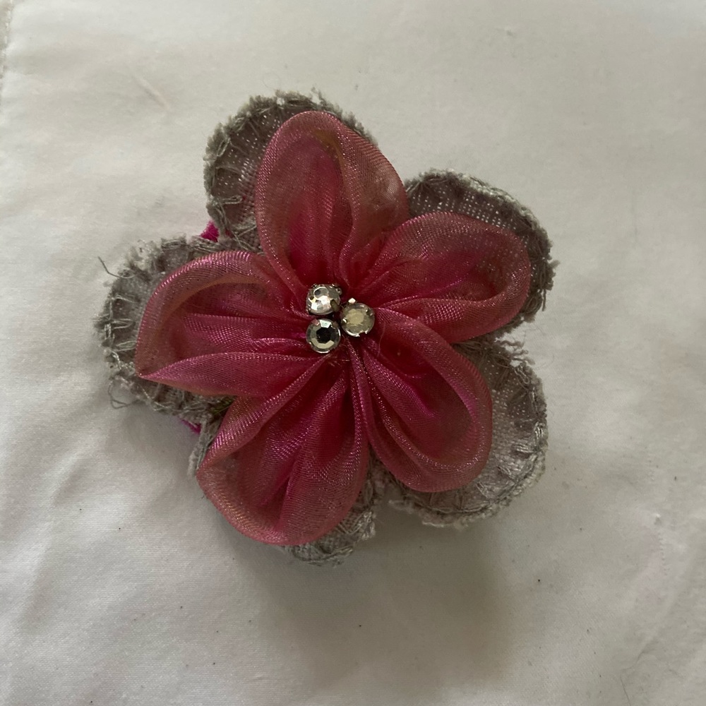 Sassy little hair clip